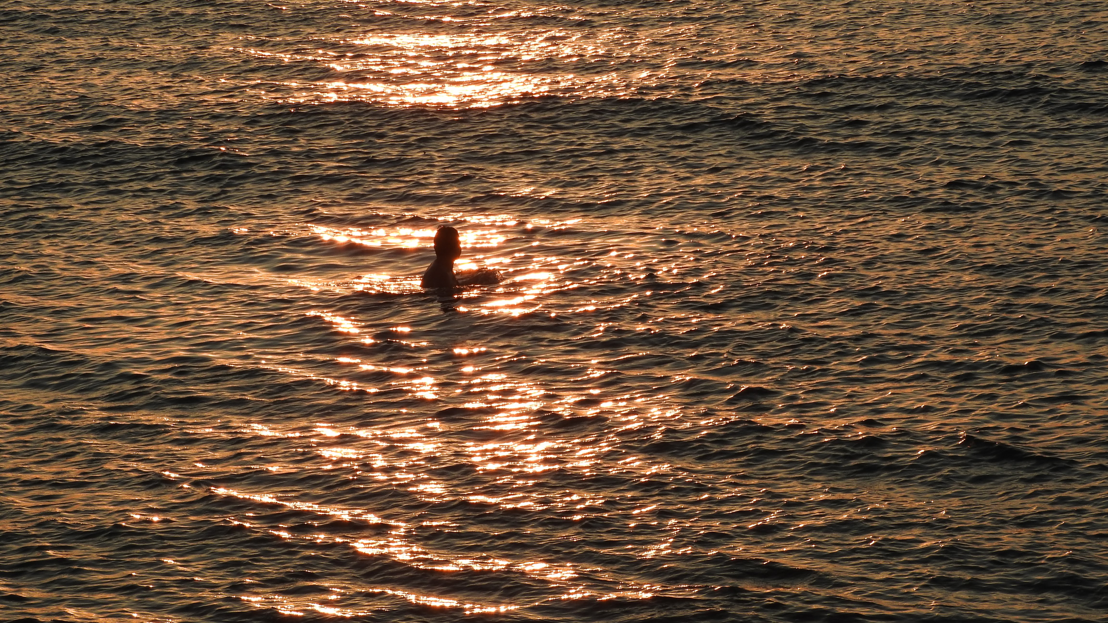 Schwimmen bei Sonnenuntergang